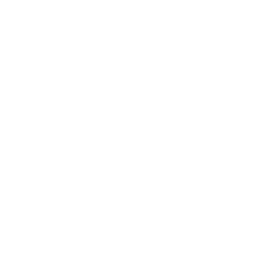 Mobile Icon