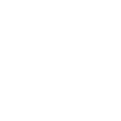 Roof Icon